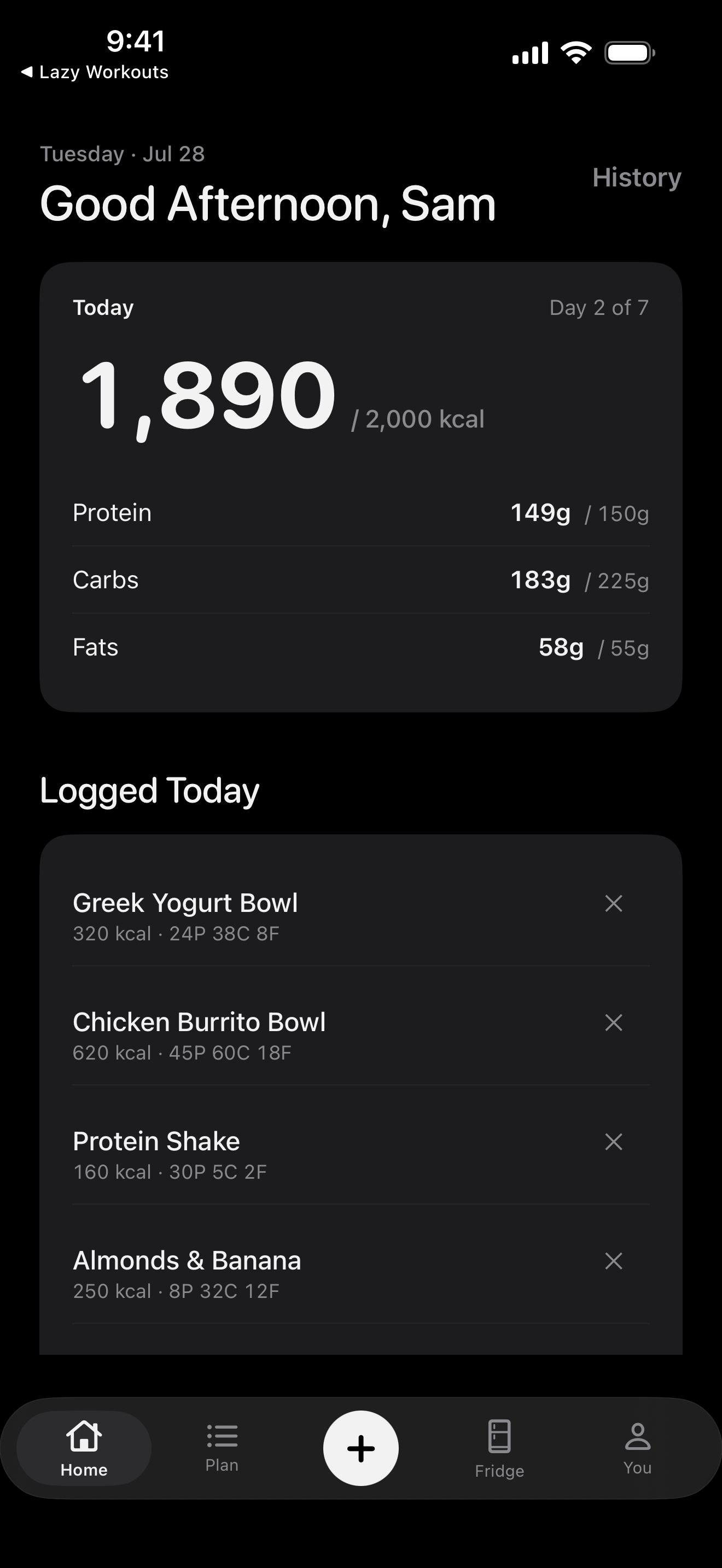 Lazy Nutrition home